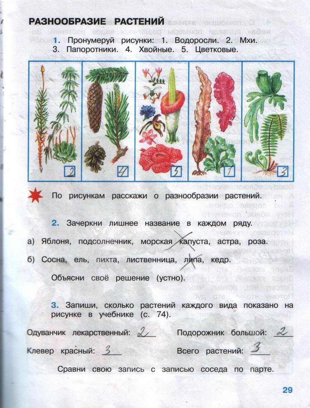 Зачем нужны автомобили? стр. 60 - 61. окружающий мир 1 класс 2 часть