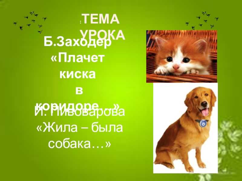 Понемногу: ответы на вопросы учебника к стихотворениям "плачет киска" и "жила-была собака" для 2 класса