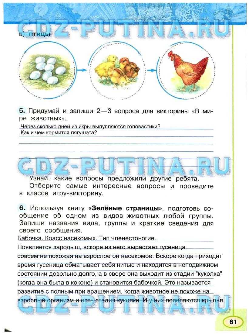 Гдз решебник по окружающему миру 1 класс   плешаков, новицкая  рабочая тетрадь просвещение