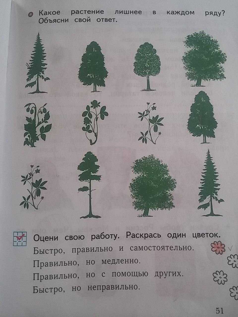 Решебник  рабочая тетрадь по окружающему миру 1 класс плешаков а. а., новицкая м. ю.  фгос