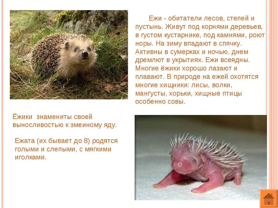 ГДЗ Литературное чтение 2 класс часть 1 Климанова страница 99 Номер 1 Прочитай рассказ про себя Cколько времени тебе понадобилось Определи главную мысль