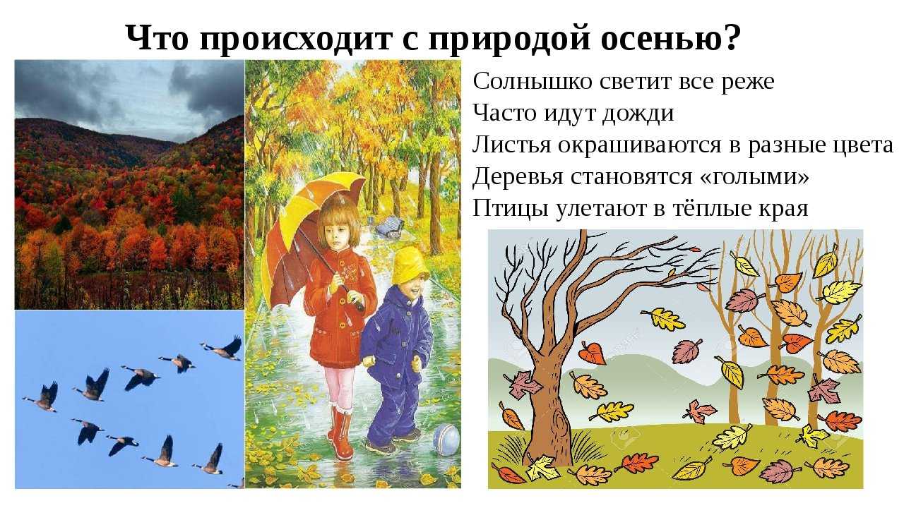 Гдз литературное чтение 2 класс 1 часть учебника климанова л. ф., горецкий в. г.