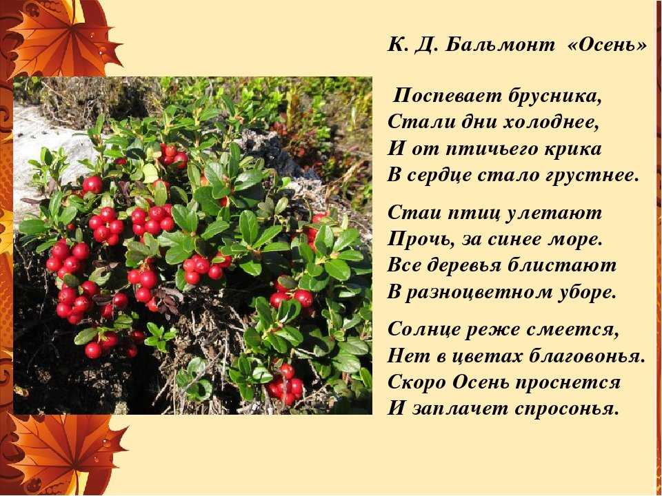 Готовые ответы (гдз) с 1-11 класс онлайн на gdz.today