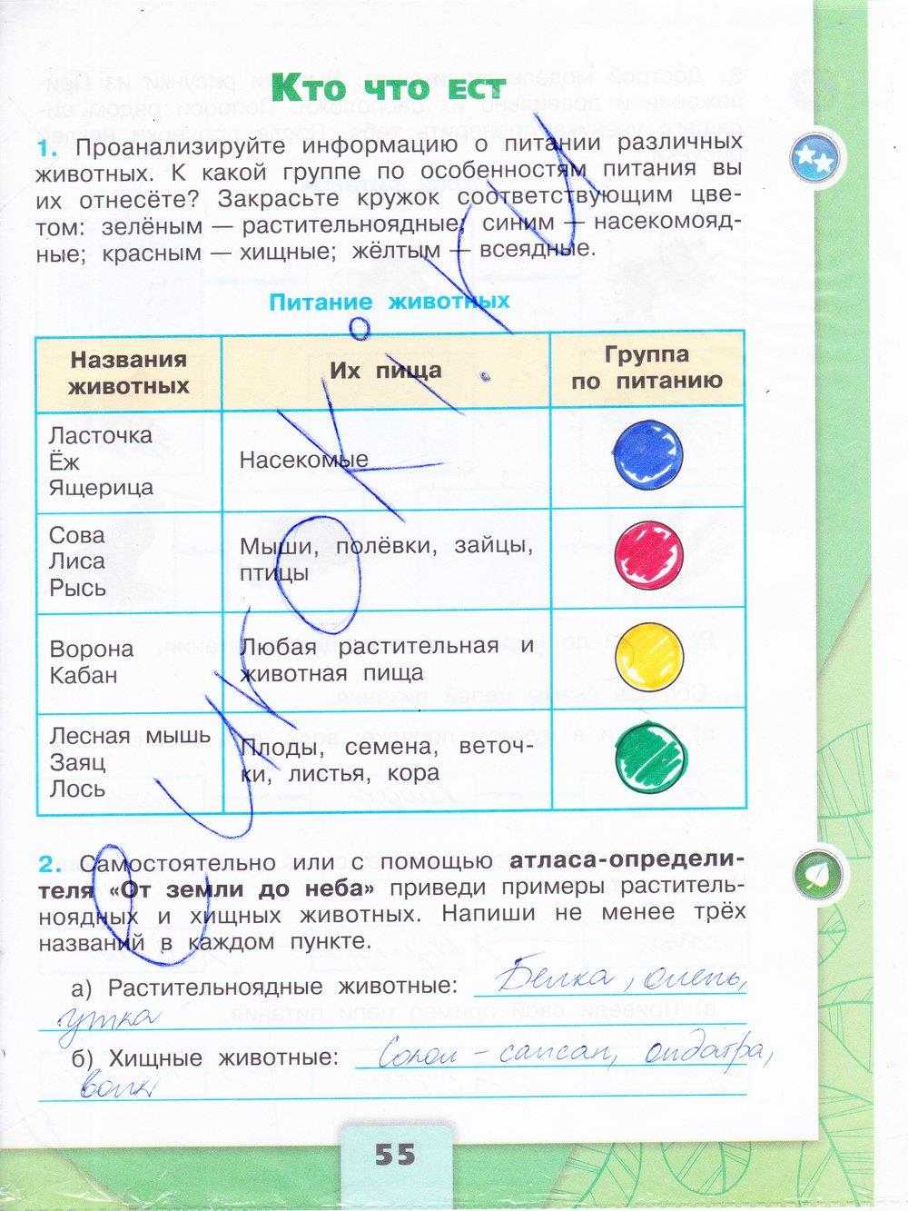 Гдз по окружающему миру — 1 класс -рабочая тетрадь — 2 часть — плешаков — 2020
